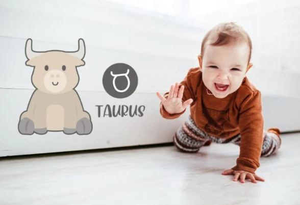 Taurus baby