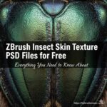 High-resolution ZBrush insect skin texture PSD files for digital sculpting, showing detailed insect exoskeleton patterns and realistic surface details.