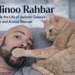 Minoo Rahbar with Jackson Galaxy at an animal rescue event.